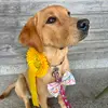 katepenna - @katepenna - TikTok