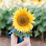 Katelyn Phipps - @katephippsphoto - Instagram