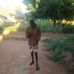 Patson Katebe - Facebook