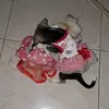 Kate Pinto - @katepinto7 - TikTok