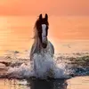 Kate Piper - @kate.piper6 - TikTok
