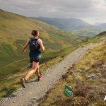Kate Platt - @katevet - Instagram