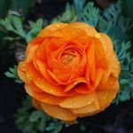 Kate Pollard - @sierra_photography05 - Instagram