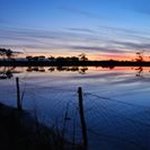 Kate Pollard - @pollard5214 - Instagram