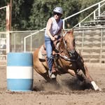 Katie Polley - @katie_polley_horsemanship - Instagram
