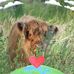 Katie Polson - Facebook