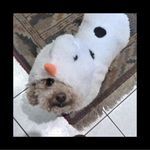 Kate Pomeroy - @travelpompom - Instagram