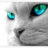 🐾🐾Kate Power🐾🐾 - @katepower5257 - TikTok