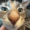 KatePratt333 - @katepratt333 - TikTok