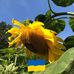 Kate Putnam - Facebook