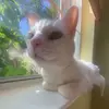 kate - @kate.gronquist - TikTok