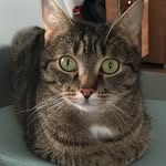 Beatrix Klaucke - @kater_eddy1272 - Instagram
