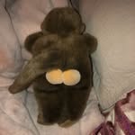 Kate Roach - @roachlimbs - Instagram