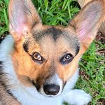 Kate Henley Rodenhouse - @katerodenhouse - Instagram