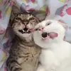 Kate Romanov - @kateromanov01 - TikTok