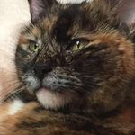 Kate Roper - @kateroper73 - Instagram