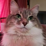 Kate Maas-Rosenthal - @figg.is.official - Instagram
