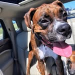 Kate & Rue - @technicallykatebutmostlyrue - Instagram
