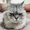 Kate - @kateruengjeen - TikTok