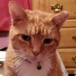 Kate Rue - @kate.rue - Instagram