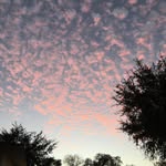 Katie Cammile Rummel - @katie_cammile - Instagram