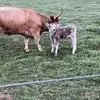 Katie Rummel - @katie.rummel - TikTok