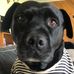 Kate Rushton - Facebook