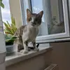 Kateřina Hrušková381 - @katerinahrusk - TikTok
