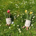 Kate Ryder - @plantsy.drew - Instagram