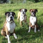Kate Salter - @kate.salter.7731 - Instagram