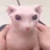 katesalters - @katesalters - TikTok