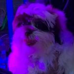 Late - @katesapph - Instagram