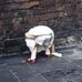 Kate Sarsfield - Facebook