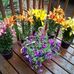Kate Sauer - Facebook