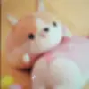 katesaylor34 - @katesaylor - TikTok