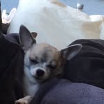 Kate Schaafsma - @kate04111960 - Instagram