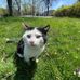 Kate Schaffer - Facebook