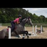 Kate Scherer - @ksg.video_ - Instagram