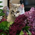 Kate Schindler - @kate.schindler.12 - Instagram
