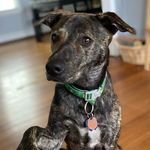 Kate Schreiber - @kmschreiber - Instagram