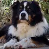 kateschreiber968 - @kateschreiber968 - TikTok
