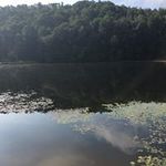 Kate Schulz Beres - @schulzberes - Instagram