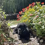 Katie Schmittgens Scimeca - Facebook