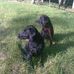 Kate Sewell - Facebook