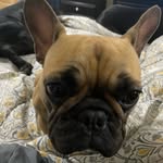 Kate Sharkey Wiegerink - @kwiggy77 - Instagram