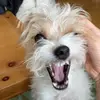 kate.sharkeyy - @kate.sharkeyy - TikTok
