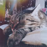 Kate Shattuck - @kwk_kkate - Instagram