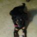 Kate Shattuck - Facebook