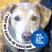 Kate Shattuck - Facebook