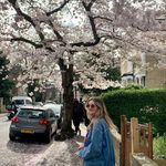 Kate 🌻 - @kateshields__ - Instagram